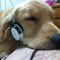 raz