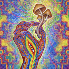 MeshuggaAcid