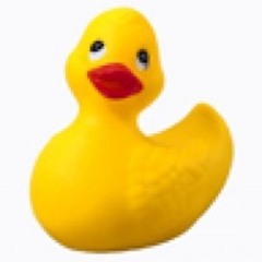 Sweet ducky