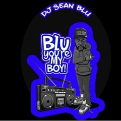 DJ Sean Blu