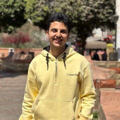 Fady Adel