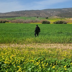 amire mrad