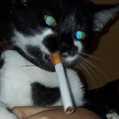 kkddkku
