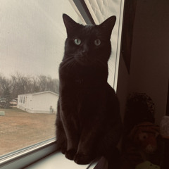 czar