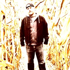 Black Cats and Old Crows