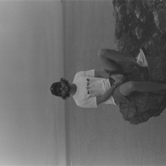 Hibiscus, The Flower