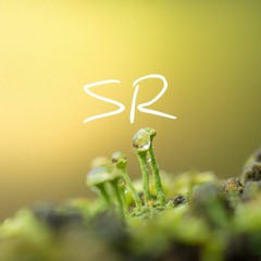 Slocan Records