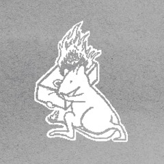 Amsterdam Junglist Kru