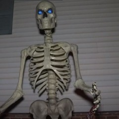 skelly