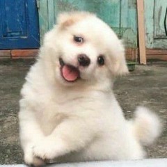 뭉