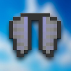 elytra shift