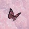 Noshaba🦋🦋