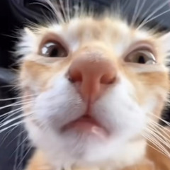 JakeRexford