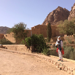 Noha Badr