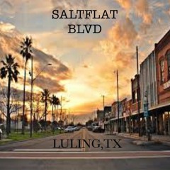 SALTLFAT BLVD