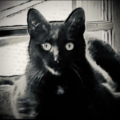 Beginning of the End