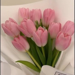 زهره الفردوس🌷