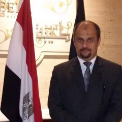 محمد المصرى