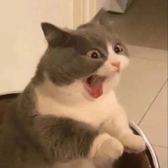 _justwii