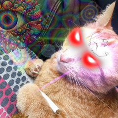 joeyt