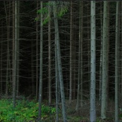 Andrekriegman