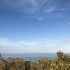 Pauline du Fontenioux