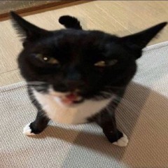 Шлин