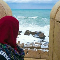 Marwa Sakr