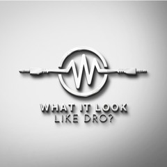 WhatItLookLikeDro??