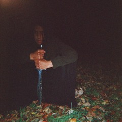 Stolen Velour