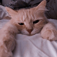 주찬양
