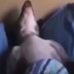 huntersellwhite
