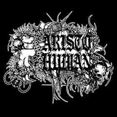 ARISTO human