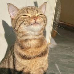 nupi'zs