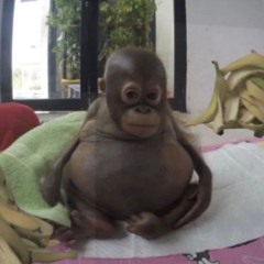Lucas Serpa