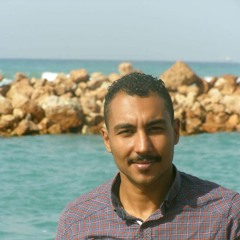 Apdullah Elshepany