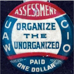 Organize the Unorganized: The Rise of the CIO