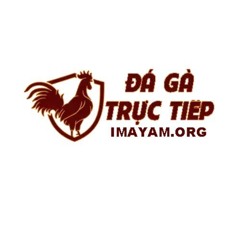 ĐÁ GÀ TRỰC TIẾP TẠI THOMO CAMPUCHIA HÔM NAY