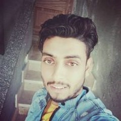 محمود العربي