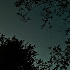 Quizás Nunca Te Vuelva A Ver