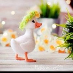 Amera Elkholy