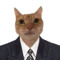 Business Cat