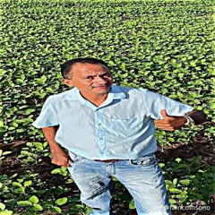 JÃOzin
