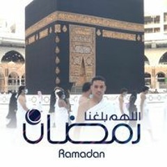 Mahmoud Elrawy