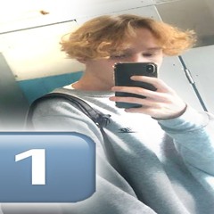 1mold