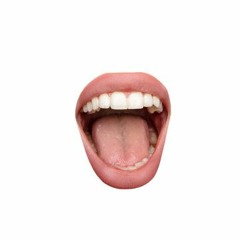 dj mouth