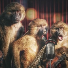 Tony's Songs Must Be Played on Headphones