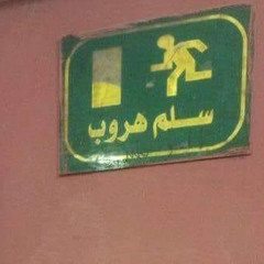 edoo