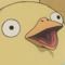 kogduck