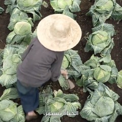 سَـلمى محـمـد